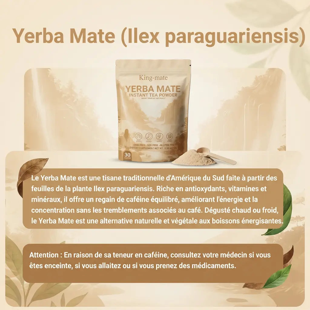 King Mate Yerba Mate Blend – Boisson Instantanée Saveur Pêche Mangue